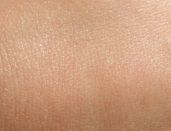 Normal Skin